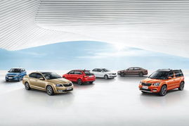 2014年中國(guó)汽車市場(chǎng)斯柯達(dá)品牌銷量排名躍升十位